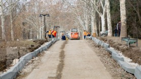BREAKING NEWS // Descoperire ȘOCANTĂ la Valea Trandafirilor. Un bărbat ar fi găsit o pungă cu mai multe grenade